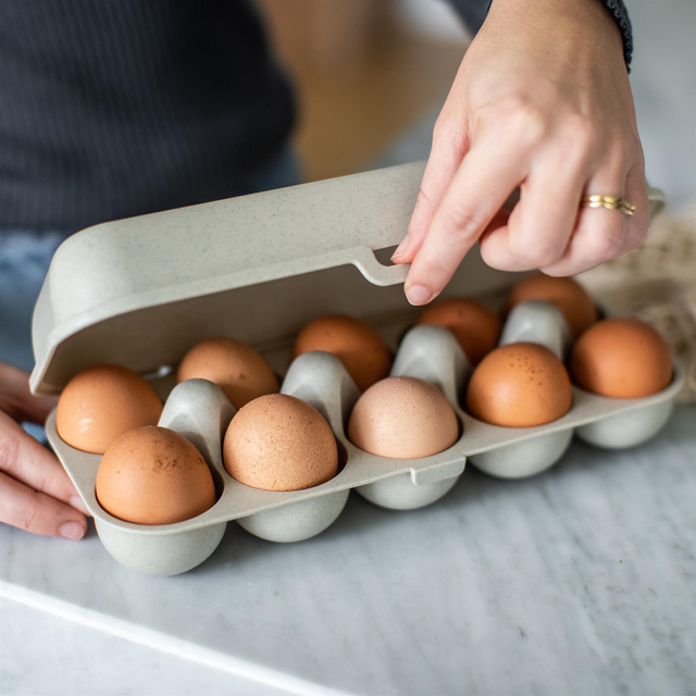 Tojásos doboz EGGS TO GO, 10 tojásnak, KOZIOL