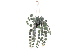Mesterséges függő növény, 40 cm