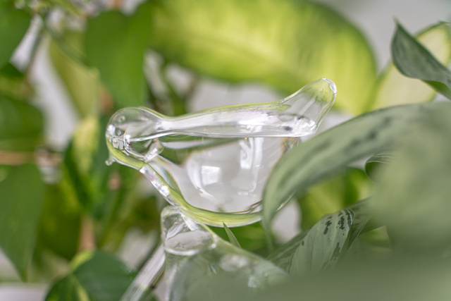 Üveges öntöző a növények locsolásához MADÁR - 2 darab a csomagban