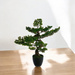 Mű bonsai cserépben
